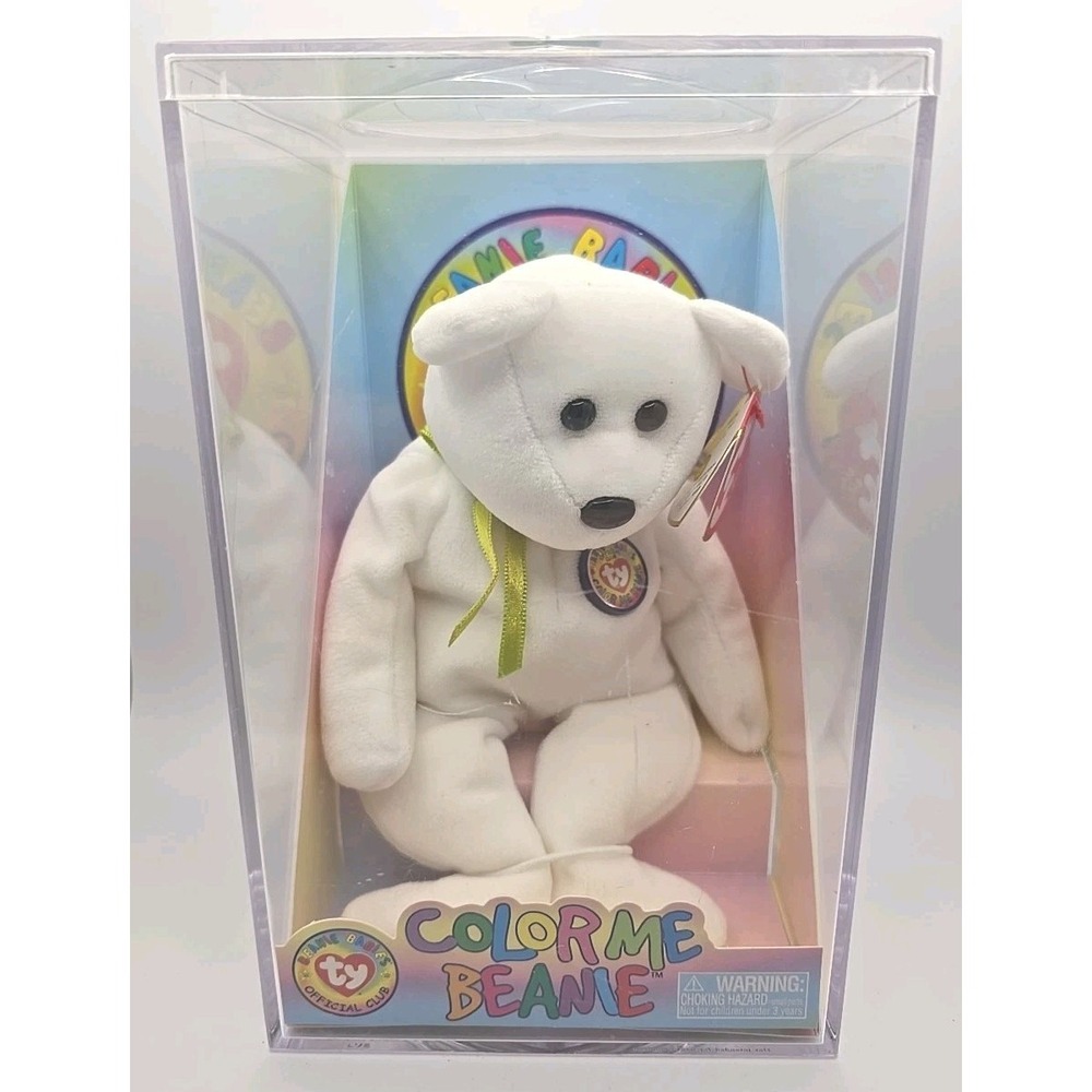 2002 Ty Beanie Baby Green "Color Me Beanie" Retired Complete Kit & Case BB29